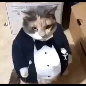 Meet your Posher, Krispy kreme